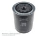 TATA 253418130165 Oil Filter